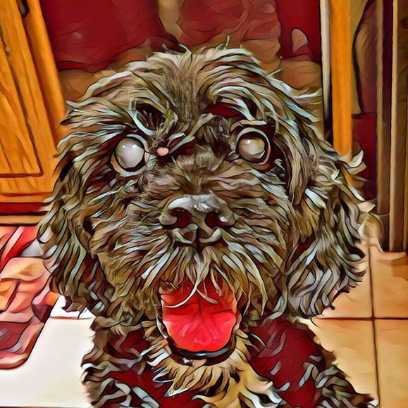 Meet your Posher, Roberta - Picture 1 of 1